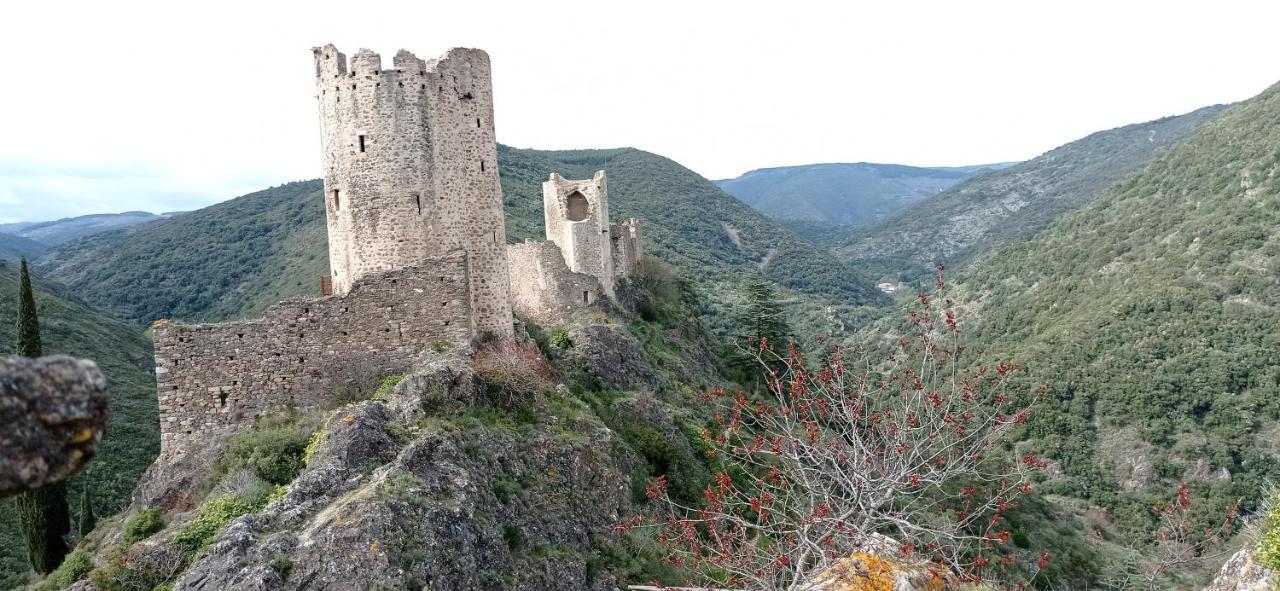 La Douce Cathare Lägenhet Carcassonne Exteriör bild